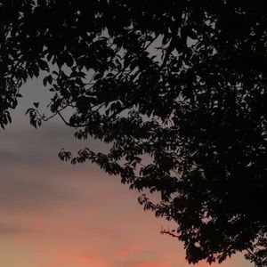 Meet your Posher, Hope